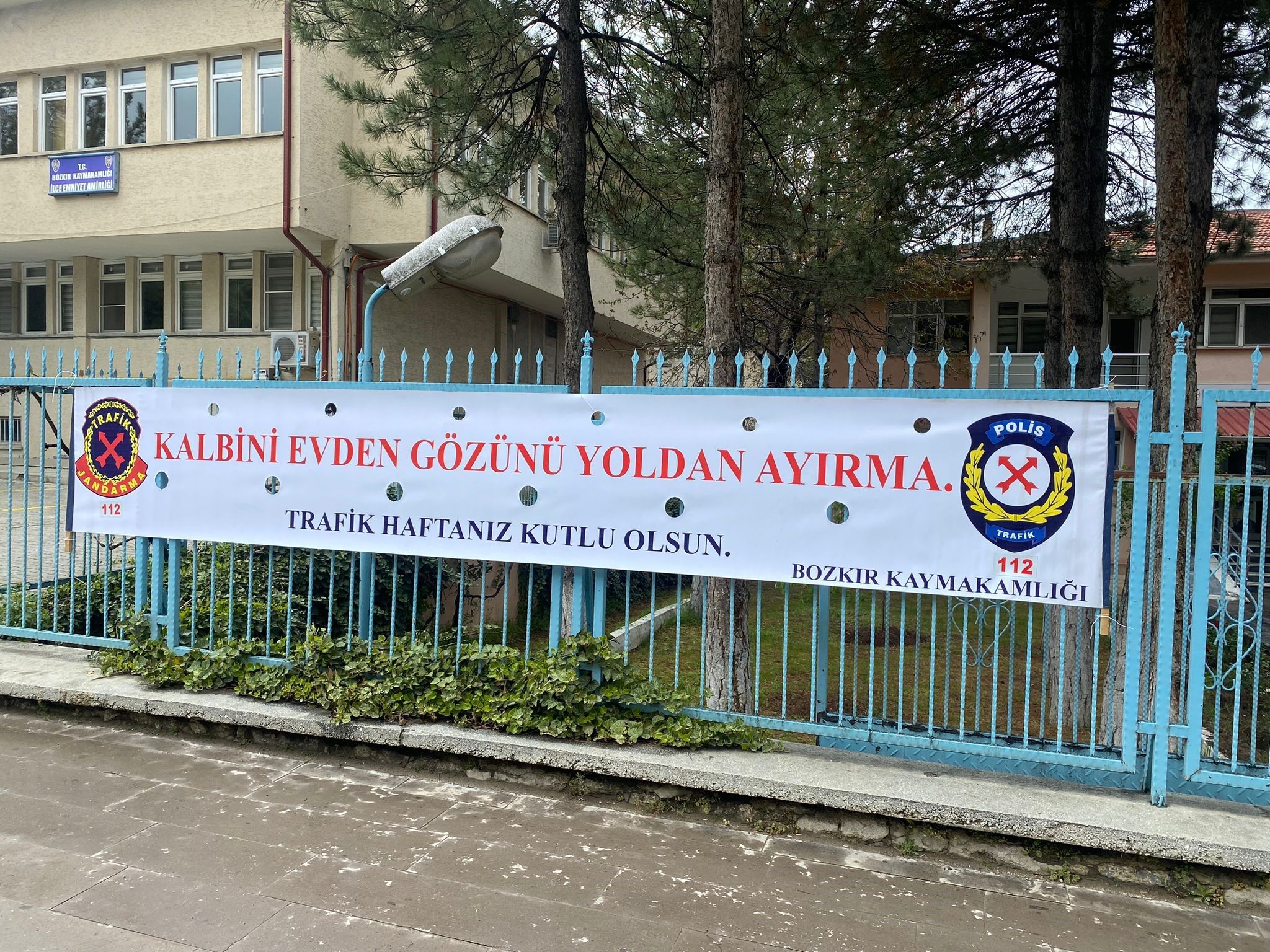 A W699376 02