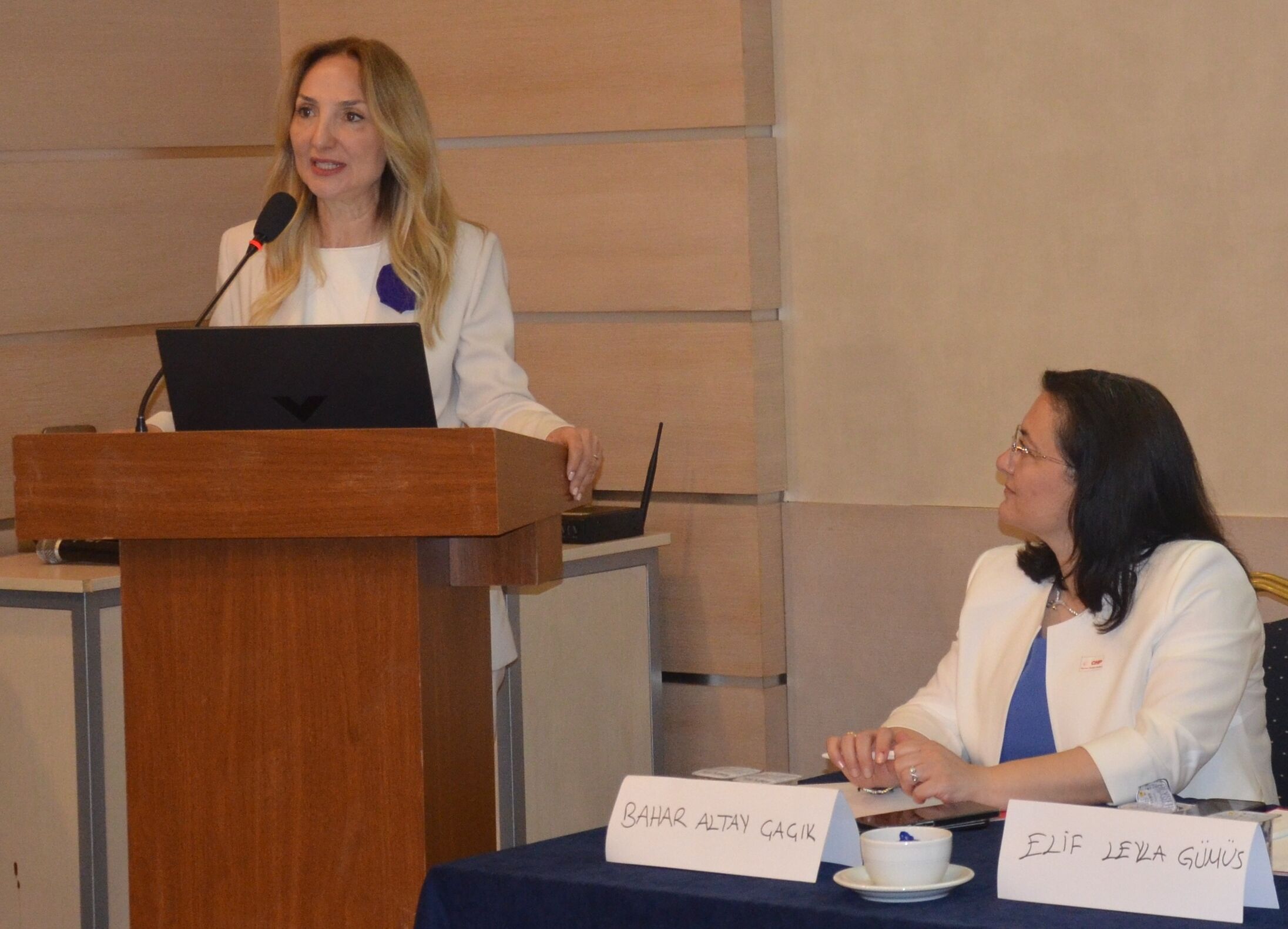 Chp Aile Ve Sosyal Hizmetler Gölge Bakanı Aylin Nazlıaka Konuşurken (2)