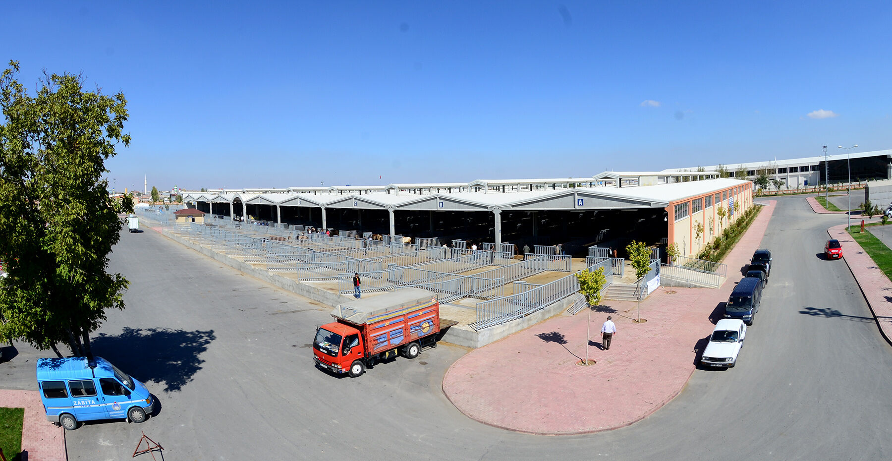 Kbb Hayvan Pazarı