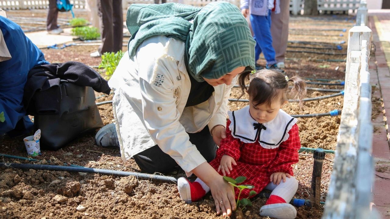 Manşet (93)