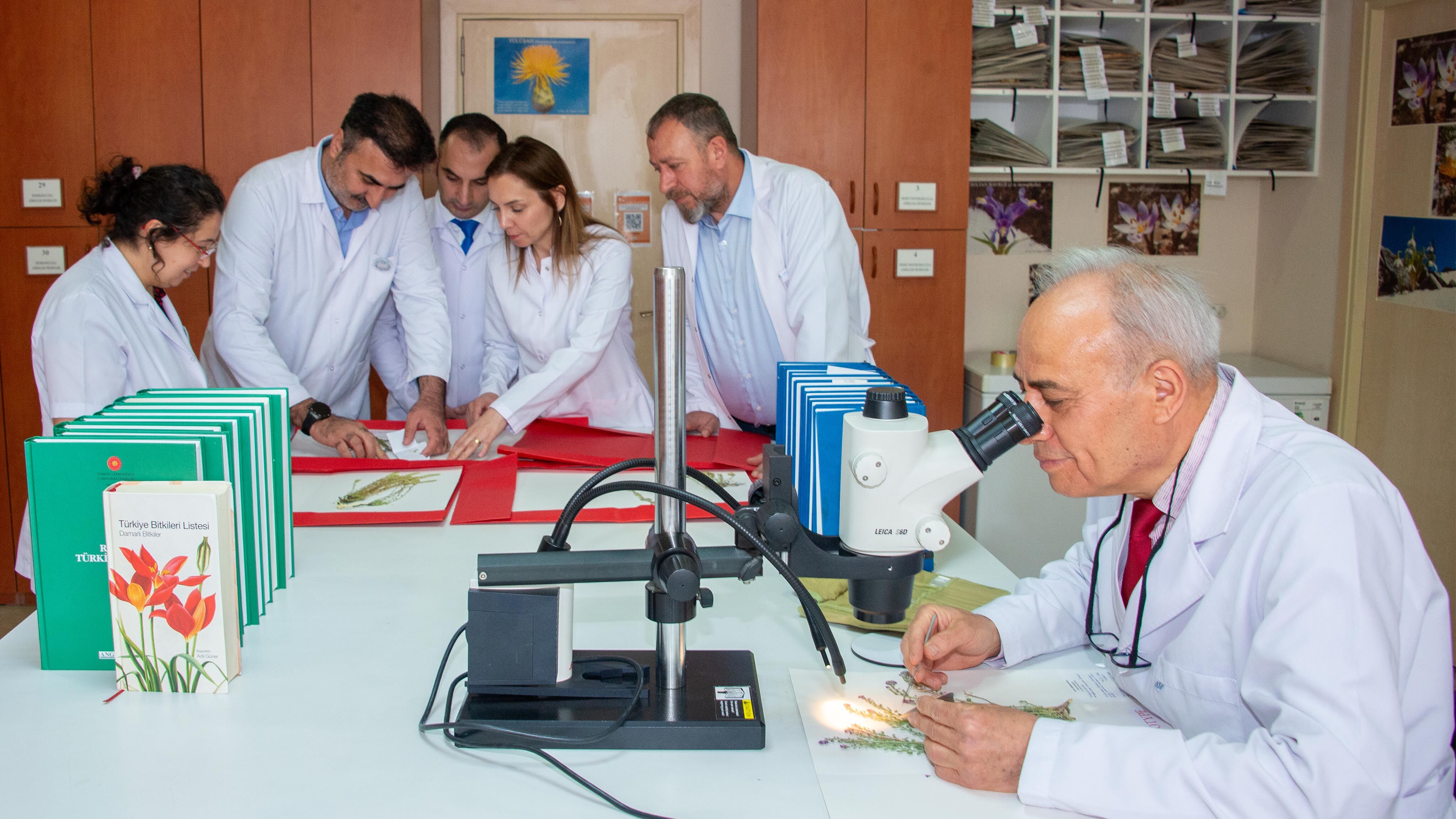 Selçuk Üniversitesi Akademisyenleri 4 Yeni Bitki Türü Keşfetti (4)