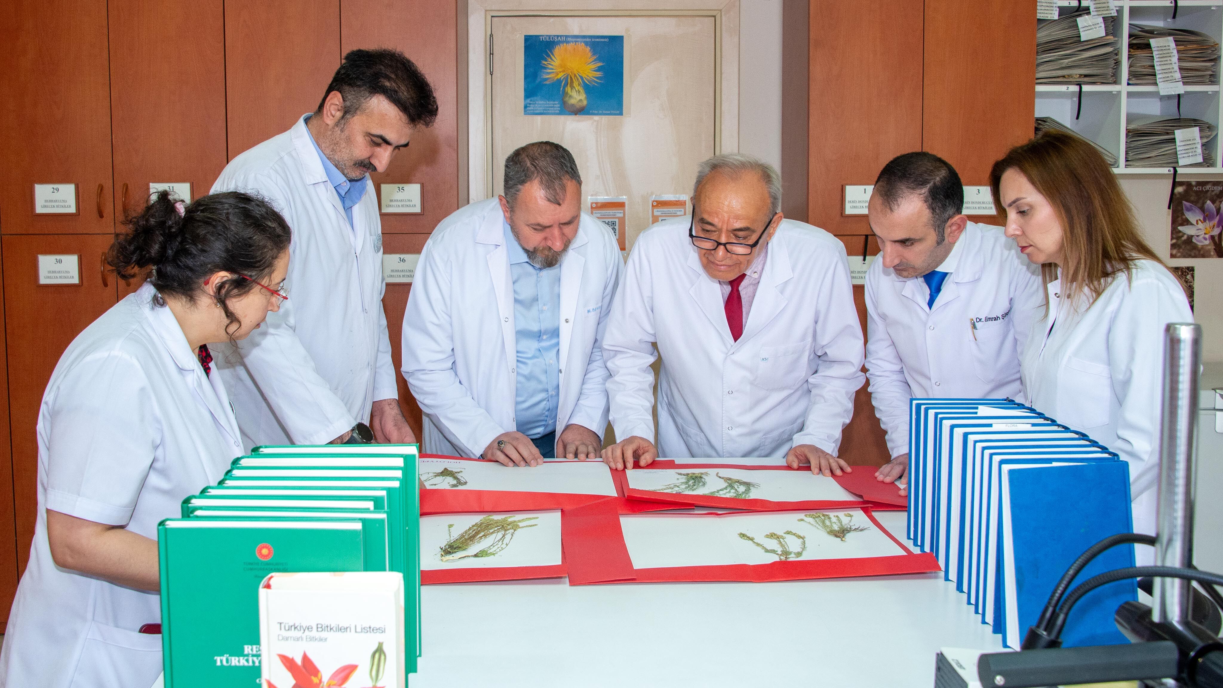 Selçuk Üniversitesi Akademisyenleri 4 Yeni Bitki Türü Keşfetti (5)