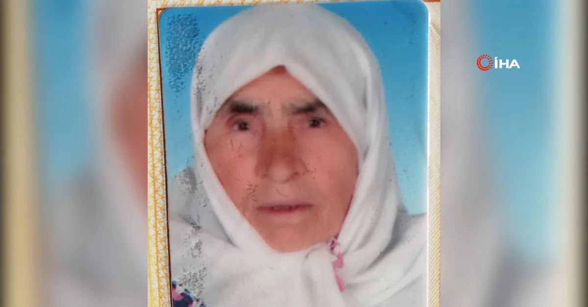 1200X627 Karamanda Bahcedeki Otlari Yakarken Alevler Icinde Kalan Yasli Kadin Oldu Video 1608802988002