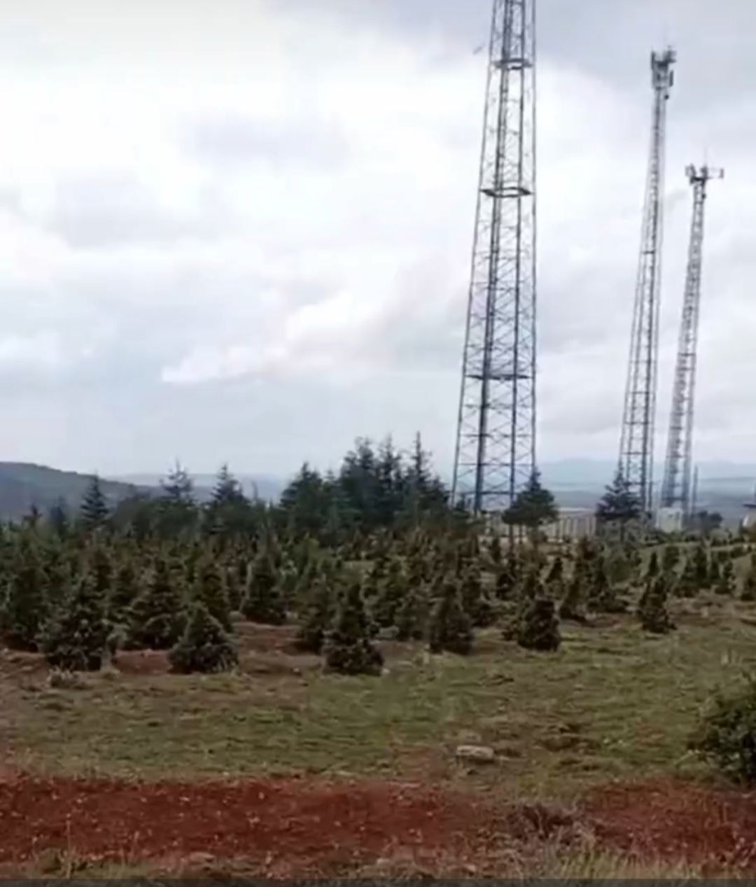 714699268 2104850940913043 5217631557741065175 N
