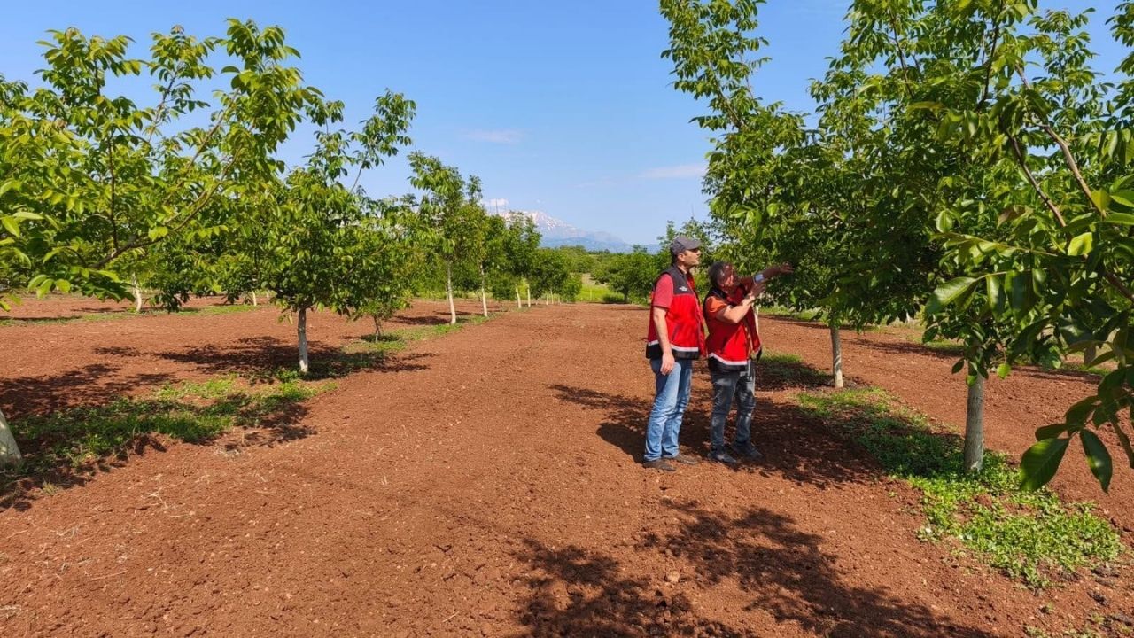 Manşet 2026 06 10T114741.283