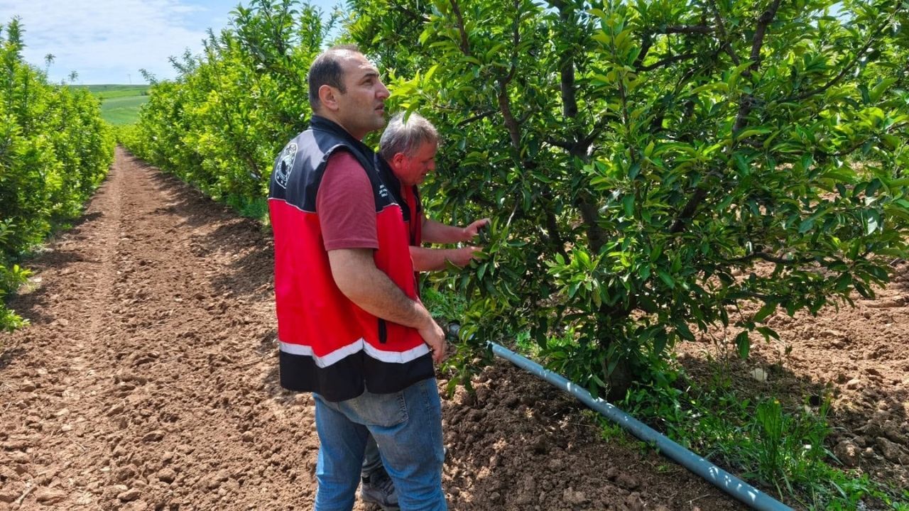 Manşet 2026 06 10T114748.212