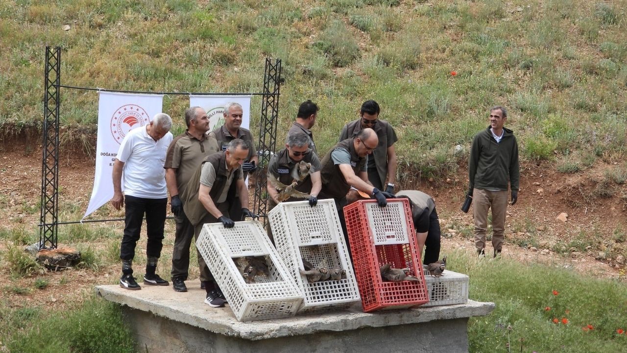 Manşet 2026 06 24T163424.578