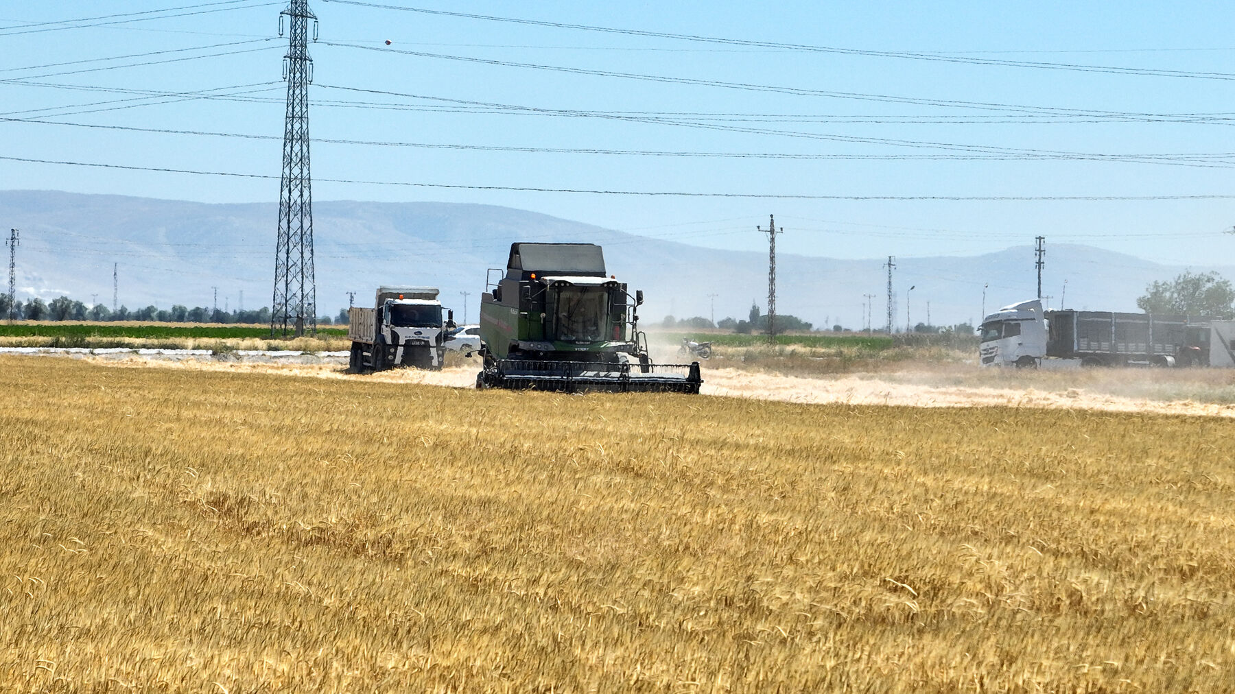 Hasat Konya Tarla Tarım (2)