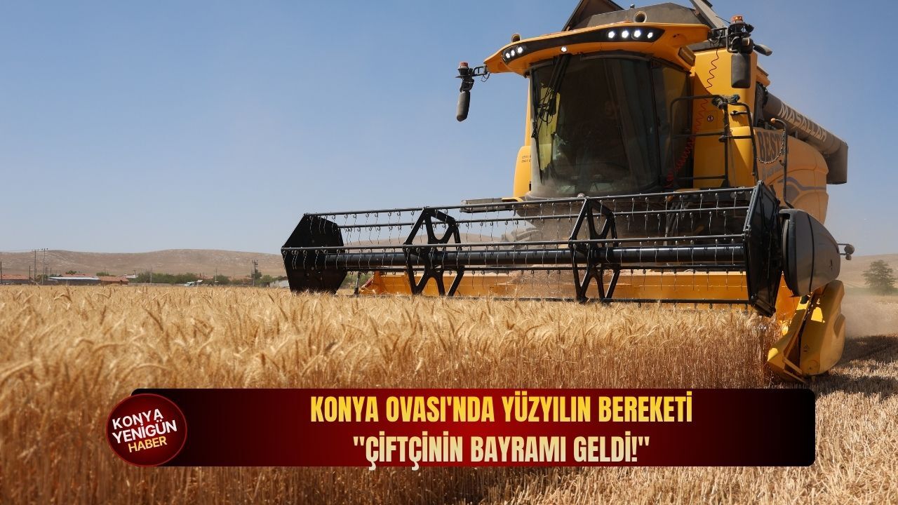Konya Ovası'nda yüzyılın bereketi: "Çiftçinin bayramı geldi!"