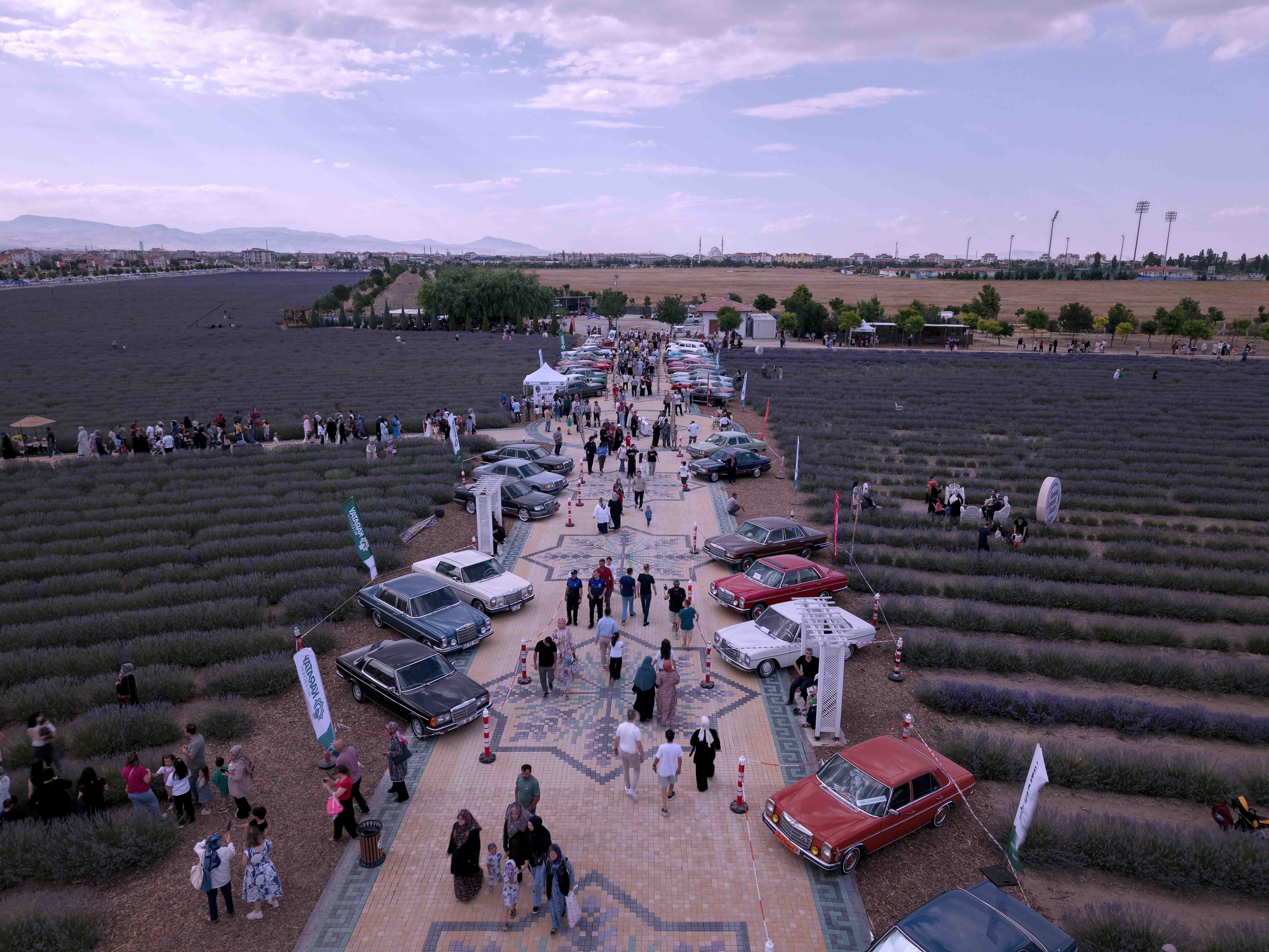 Türki̇yeni̇n En Büyük Lavanta Bahçesi̇nde Festi̇val Heyecani (2)