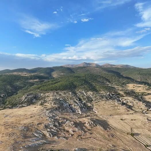 Bağırsak Bogazı Konya 2