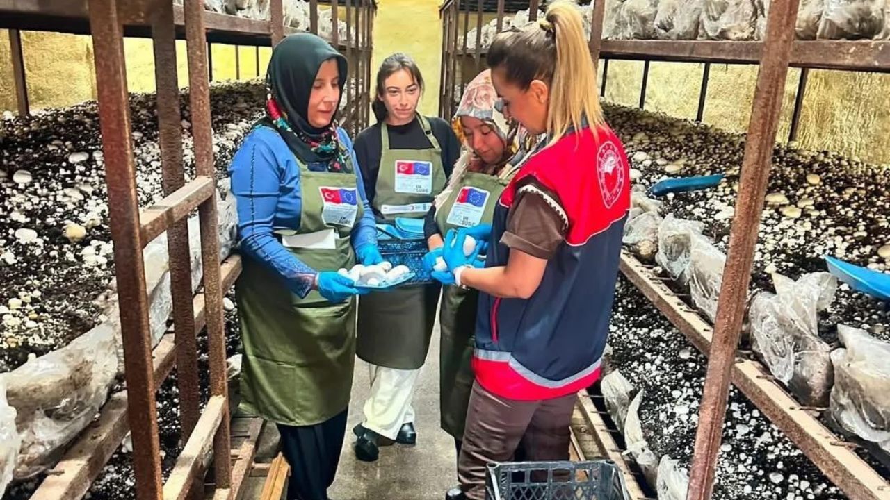 Kırmızı Ve Beyaz Modern Son Dakika Haberleri Youtube Küçük Resmi 2026 08 20T125903.019