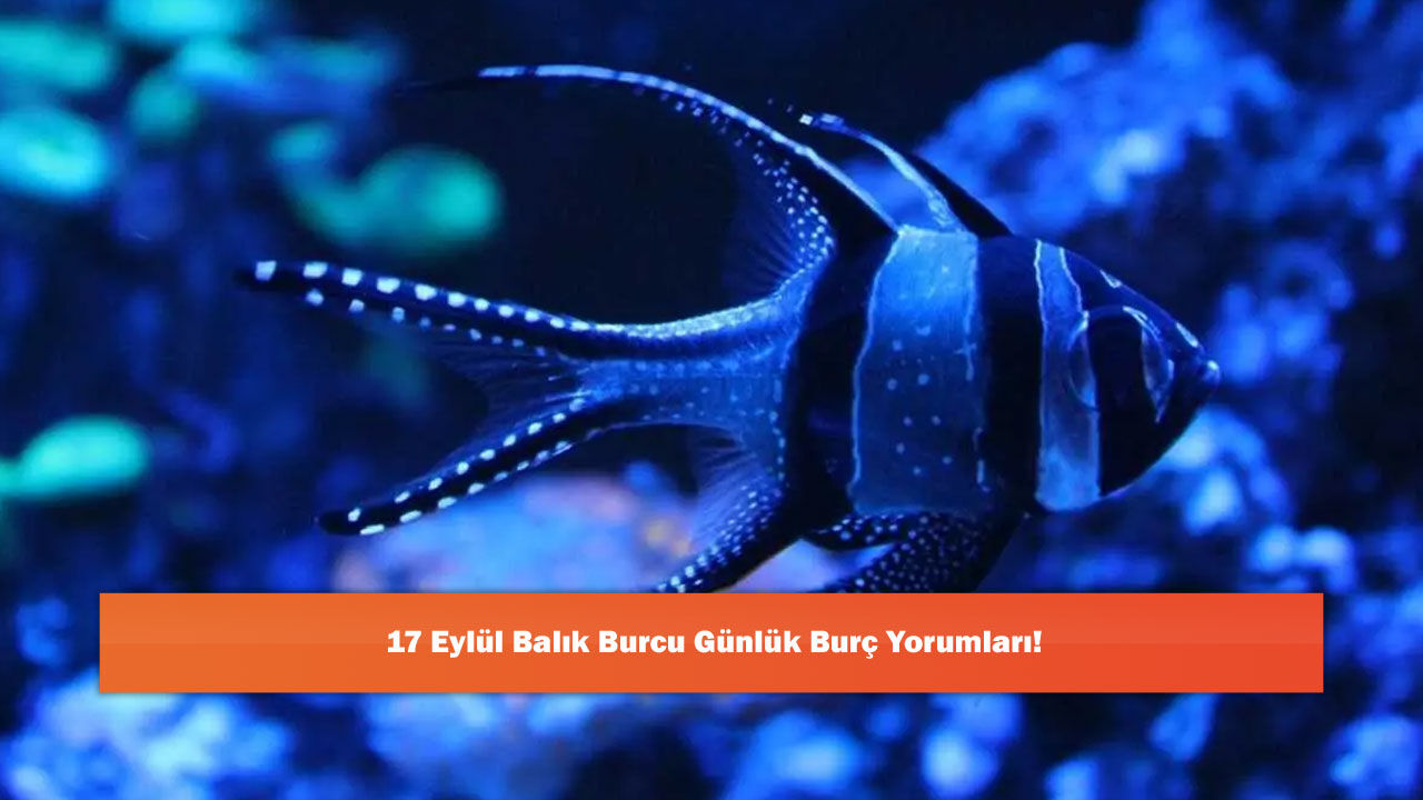 17 Eylül Balık Burcu Günlük Burç Yorumları!