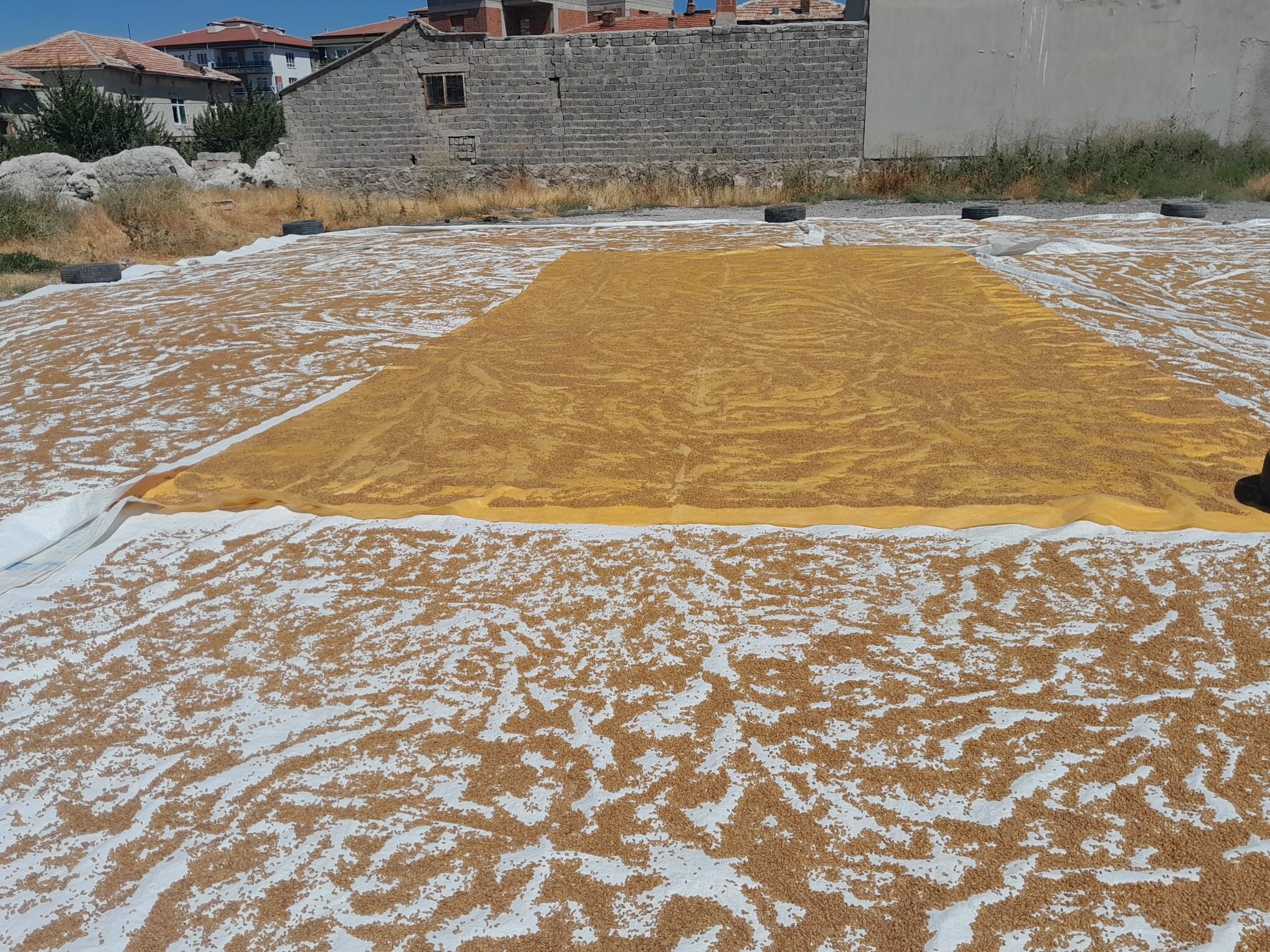 Bulgur Kaynatma Geleneği̇