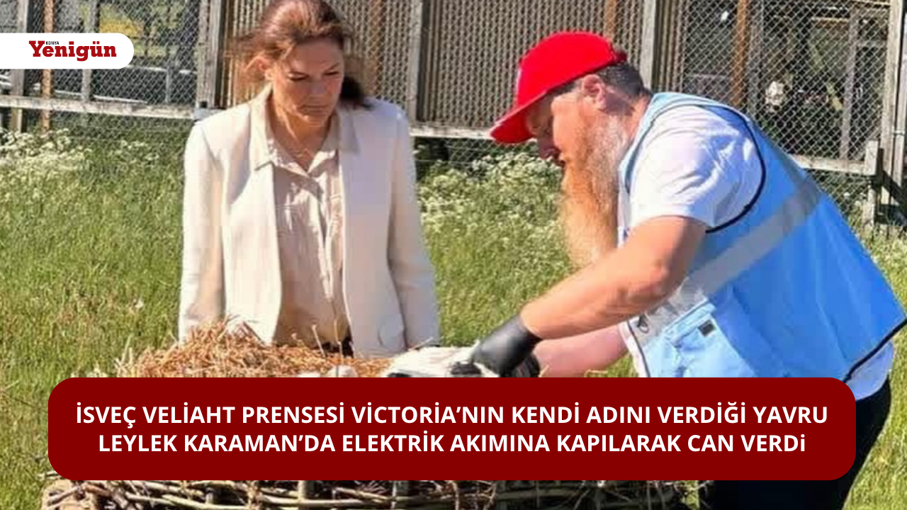 İsveç Veliaht Prensesi Victoria’nın kendi adını verdiği yavru leylek Karaman’da elektrik akımına kapılarak can verdi