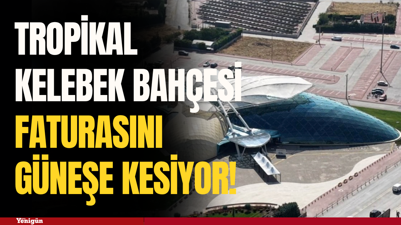 Konya Tropikal Kelebek Bahçesi faturasını güneşe kesiyor!