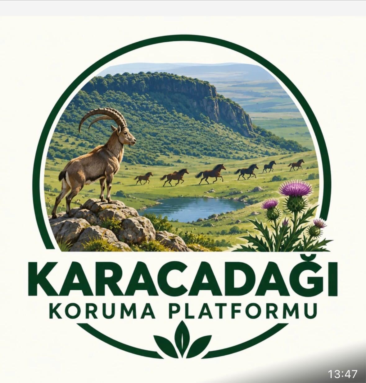 Logo-2