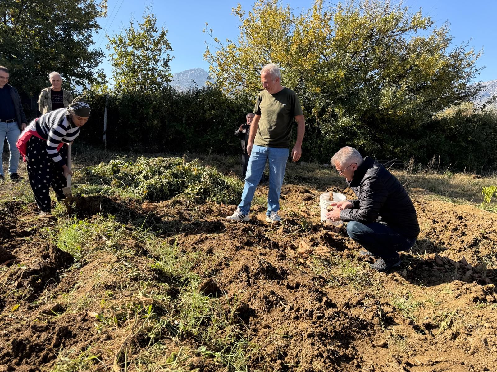 1 (8) (6)