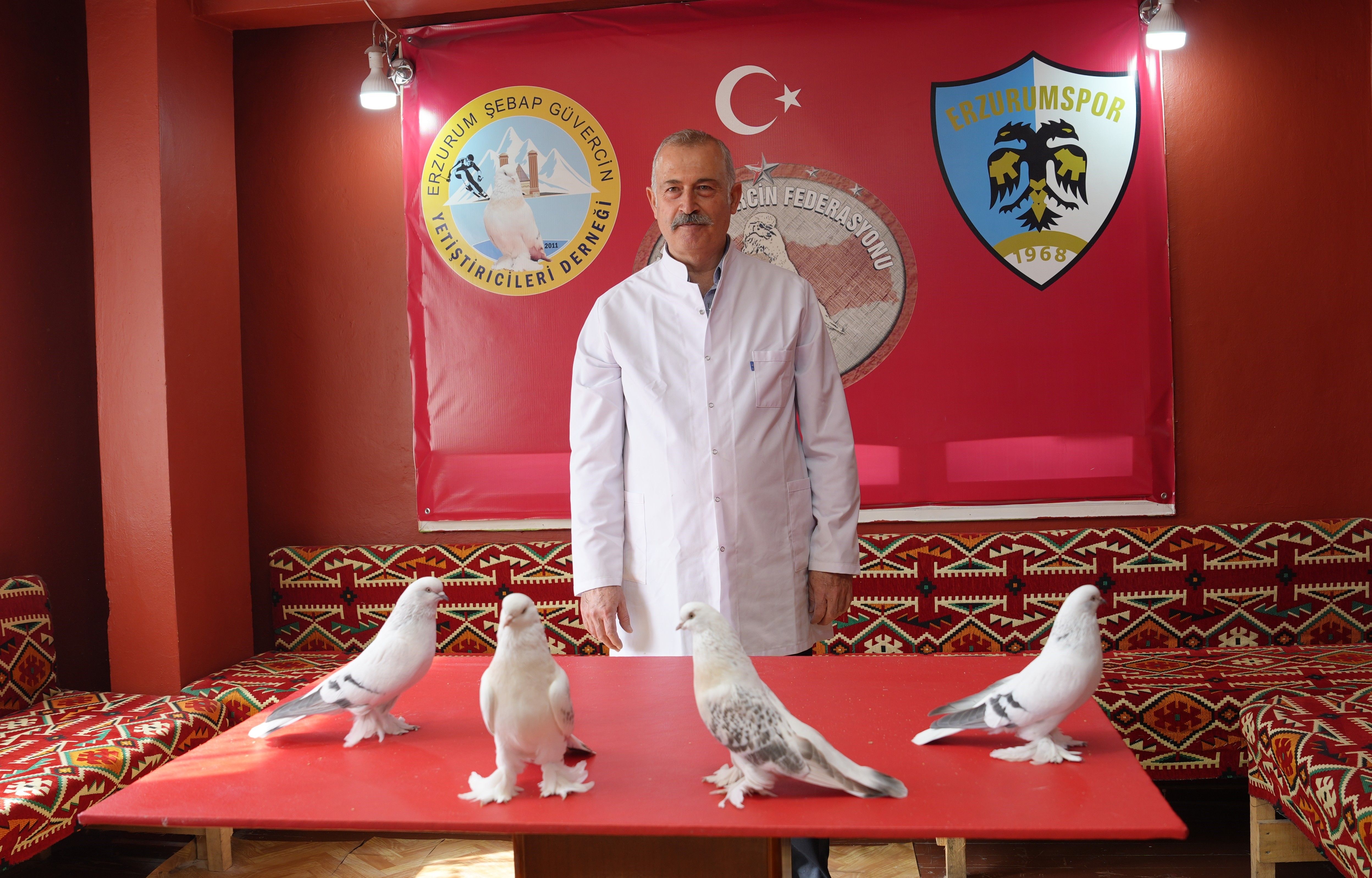 Emekli astsubayın sıra dışı sevdası: 40 güvercin için 3+1 ev kiraladı
