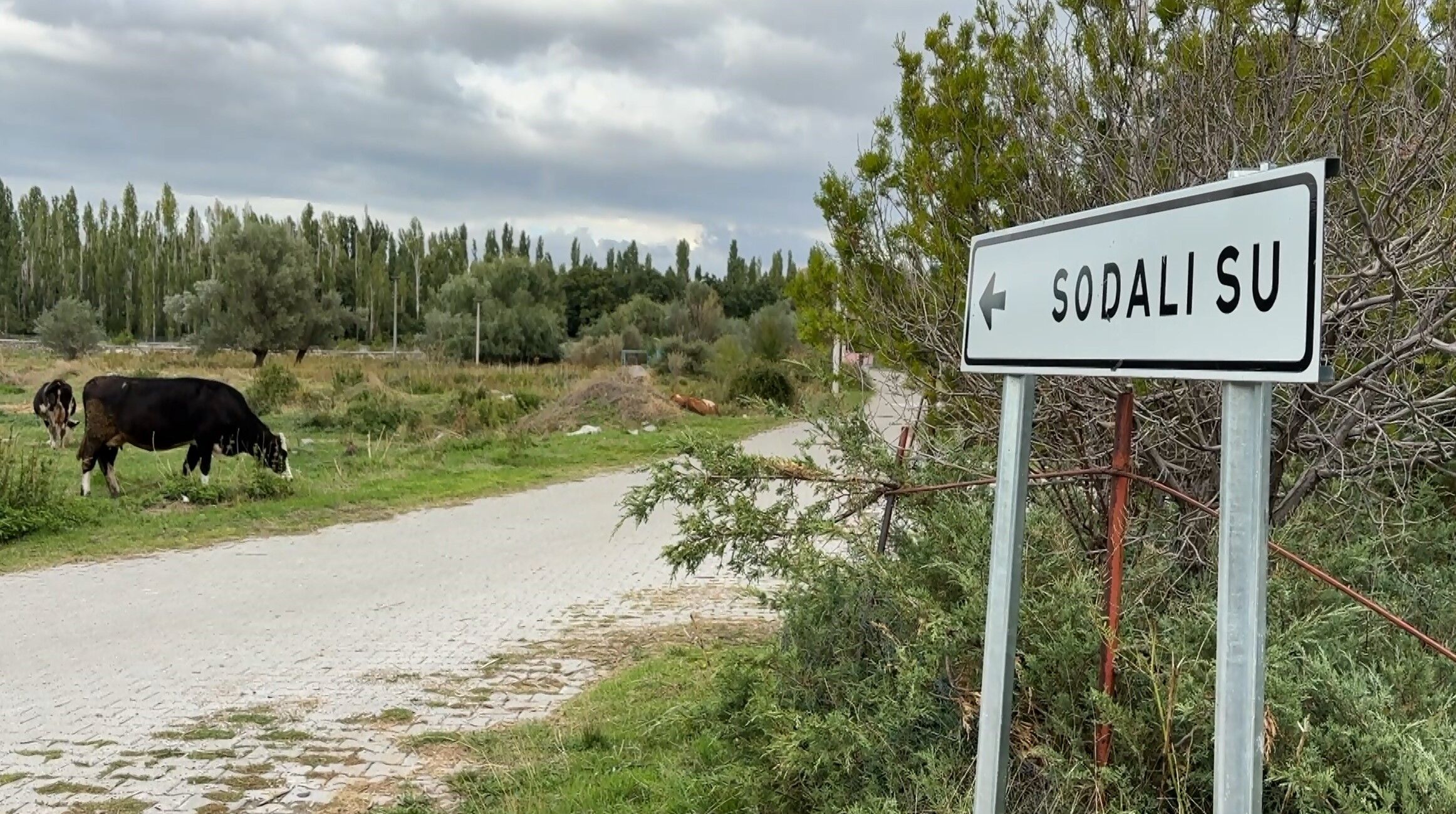 Aksaray Sodalı Su (3)
