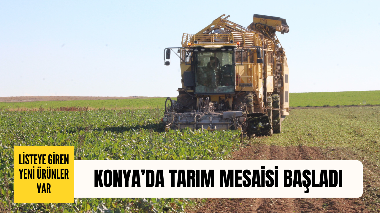 Tarımın başkentinde tarlalar hareketlendi: Listede yeni ürünler var