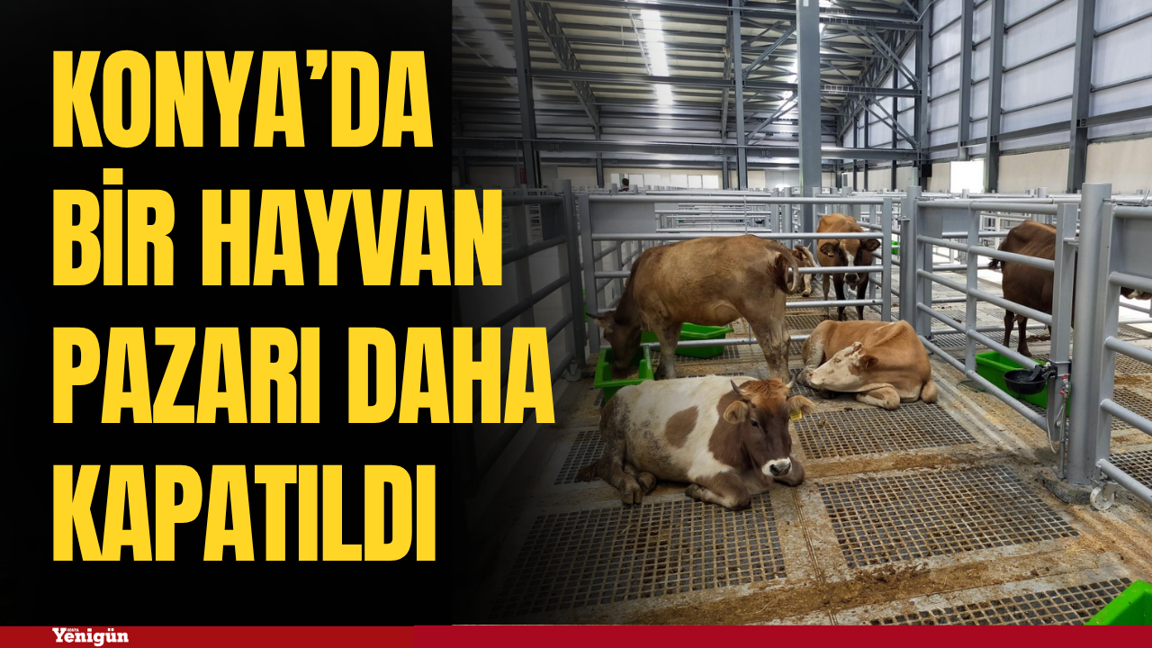 Konya’da şap tedbiri büyüyor! Bir hayvan pazarı daha kapandı