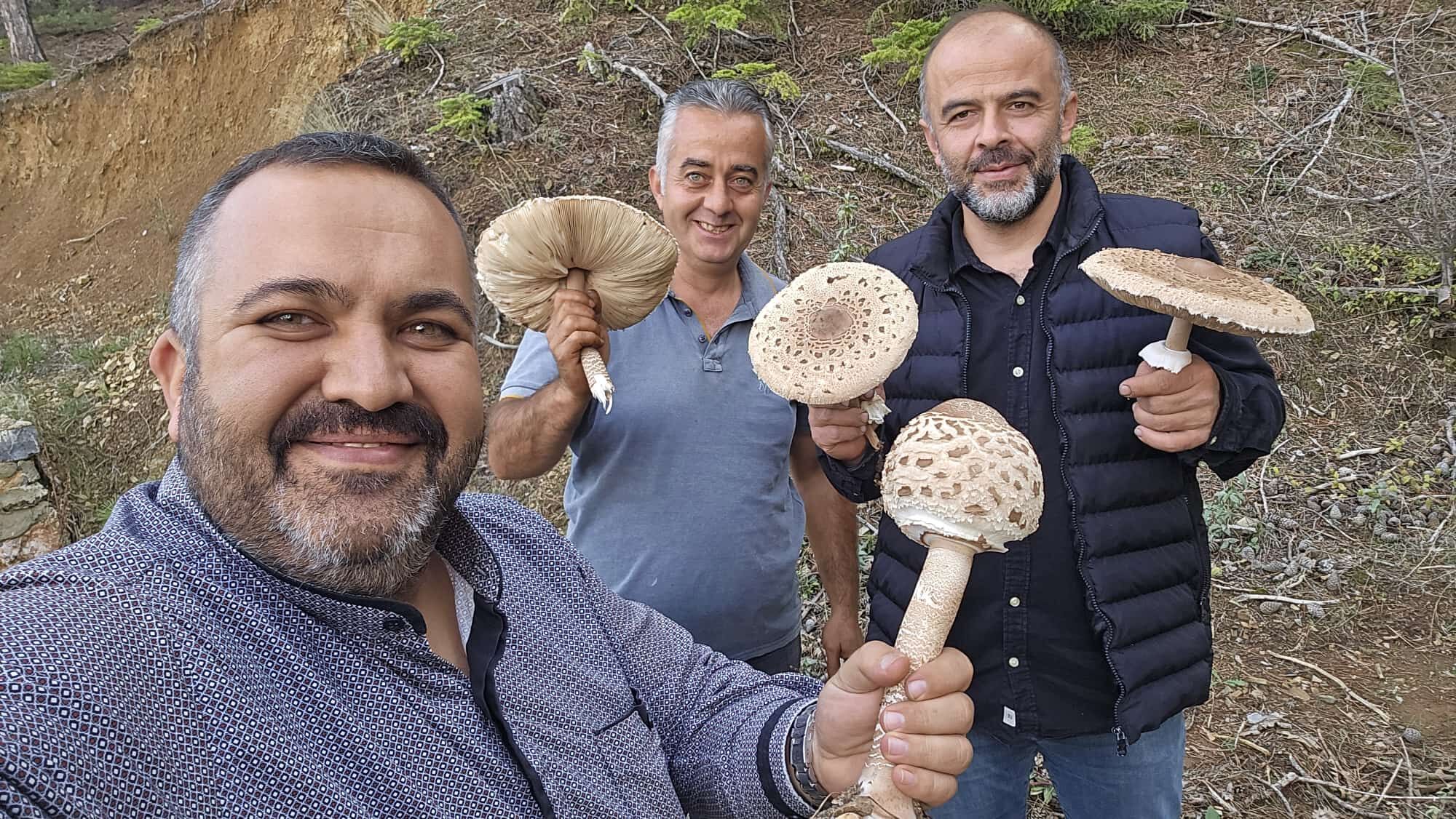 Konya Beyşehir Testere Ile Mantar Hasadı (1)